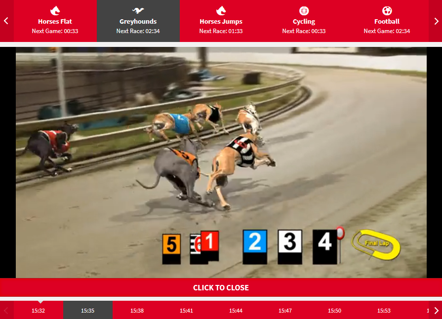 Bet on Virtual Greyhound Racing